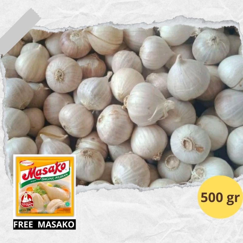 

Bawang Lanang Tunggal Murah