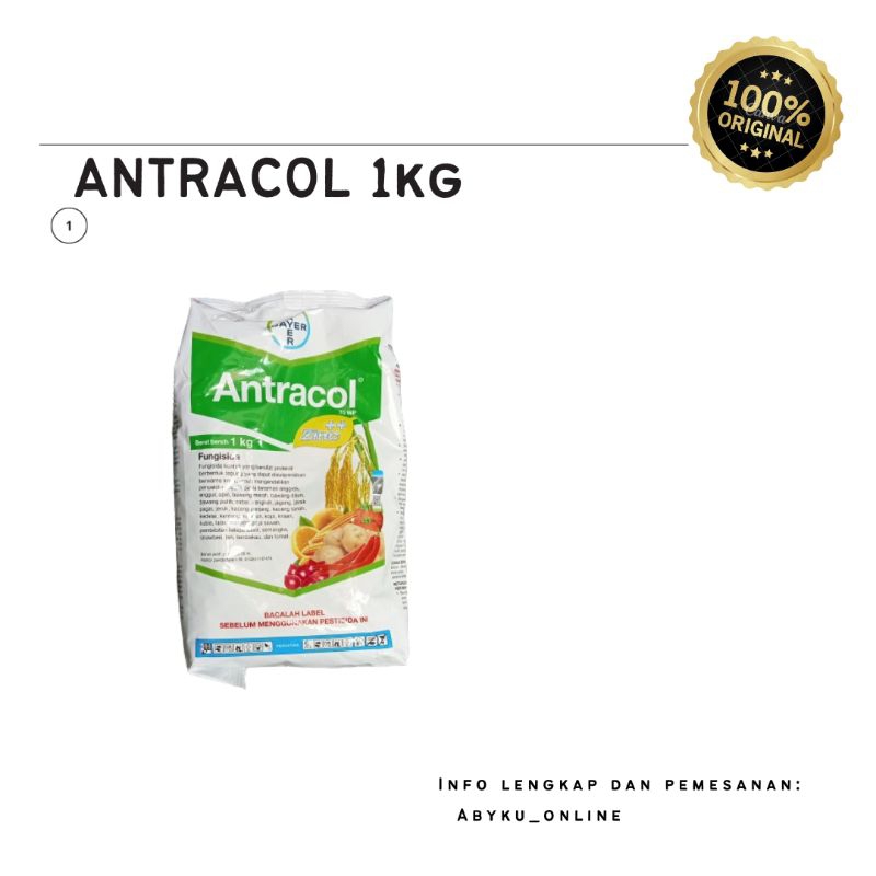 ANTRACOL 1KG