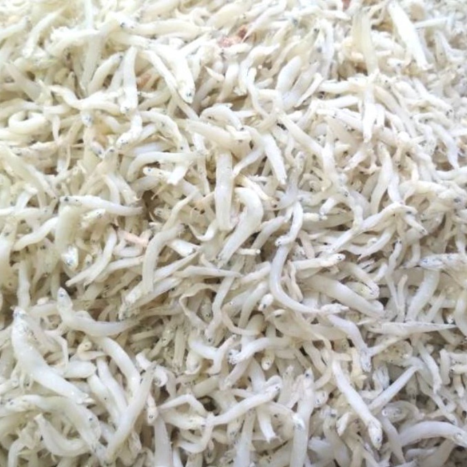 

88 Grosir 1 gram Ikan Asin Teri Medan Teri Nasi Segar Murah