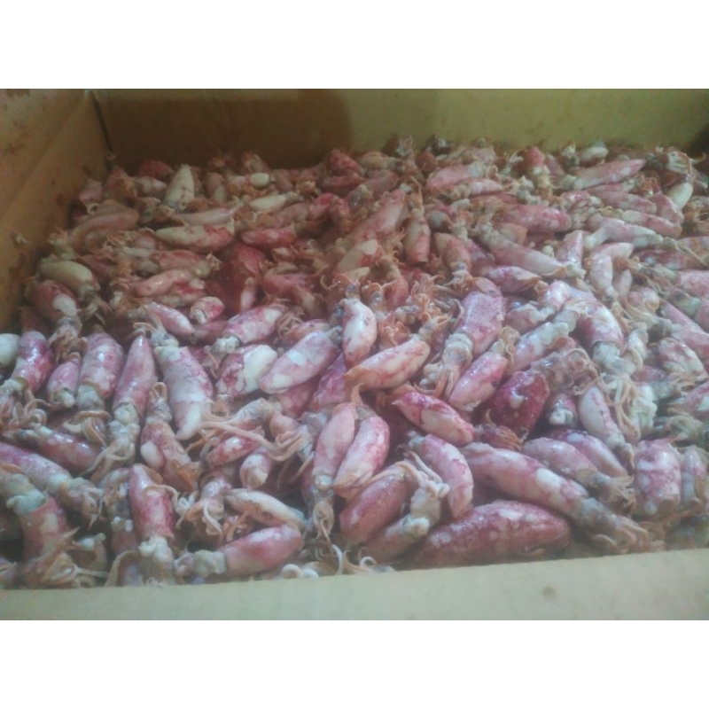 

Cumi Asin 1kg