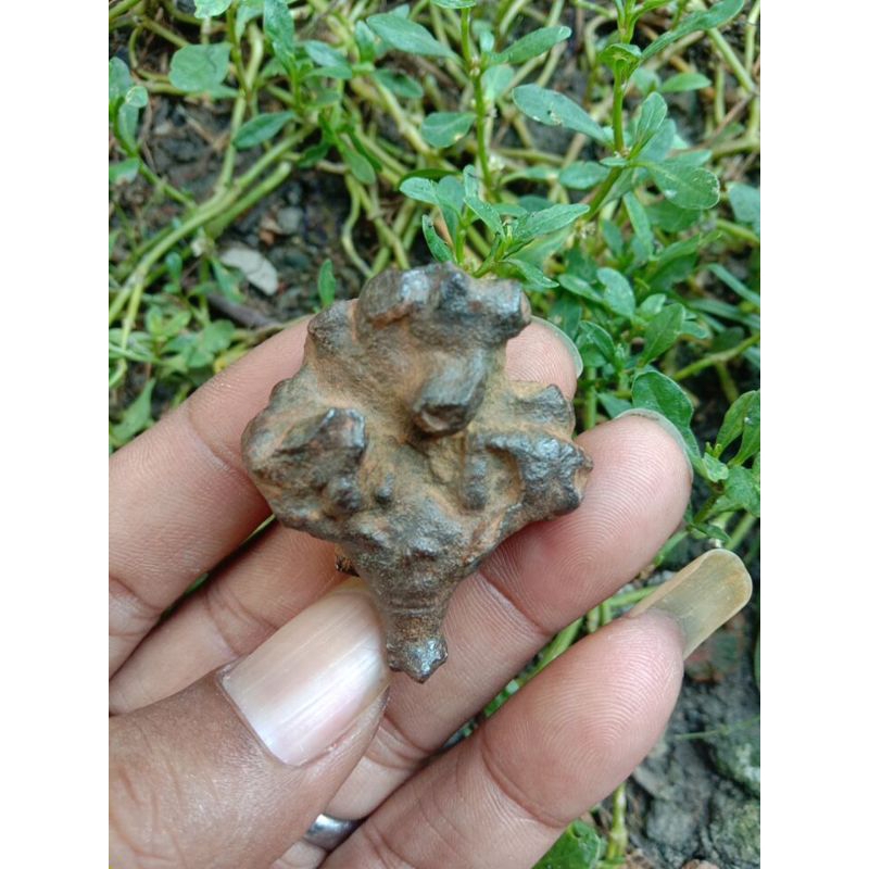 batu selonatah kelopak kembang alami