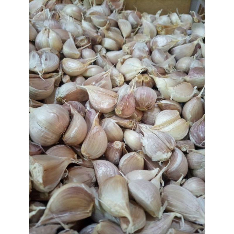 

Bawang kating bersih 1 kg