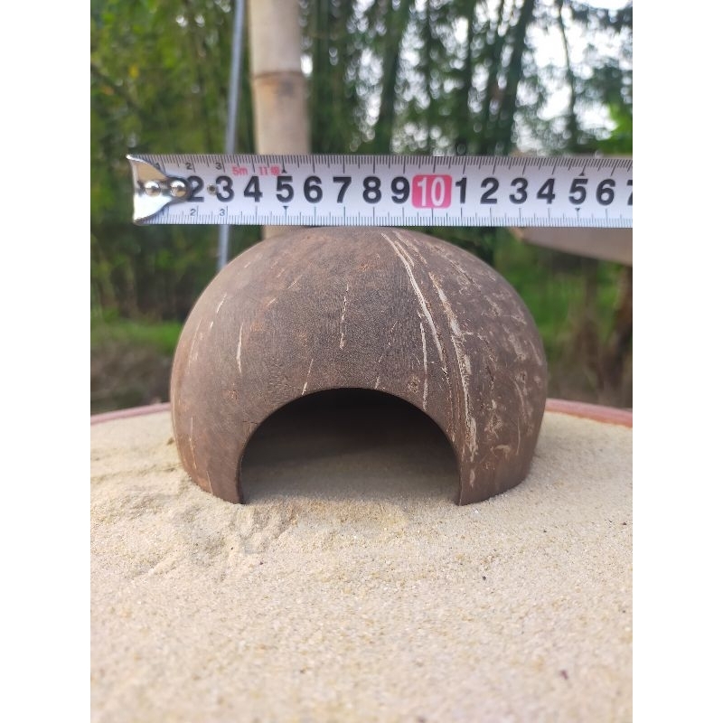 HIDING CAVE REPTILE | HIDING CAVE HAMSTER