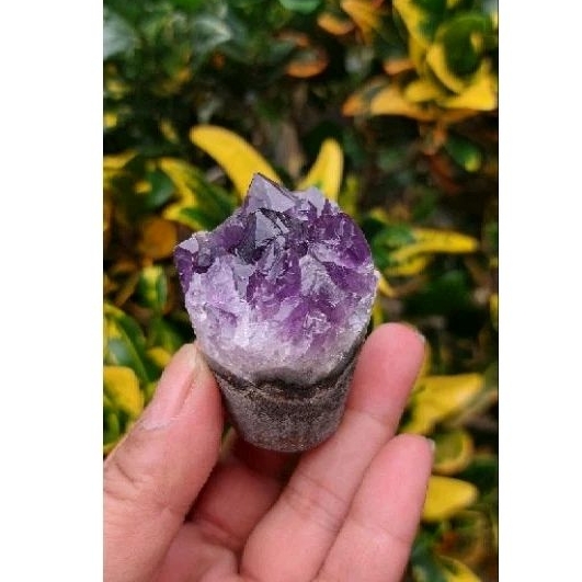 Amethys Cup Cake Geode Brazil