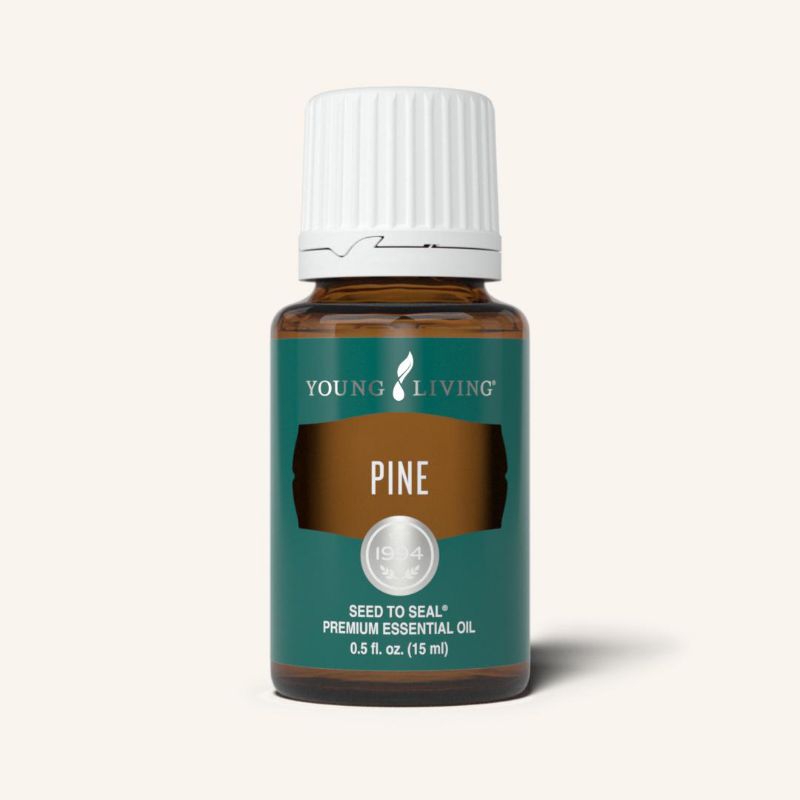 Pine 15ml / Young Living / Essential Oil