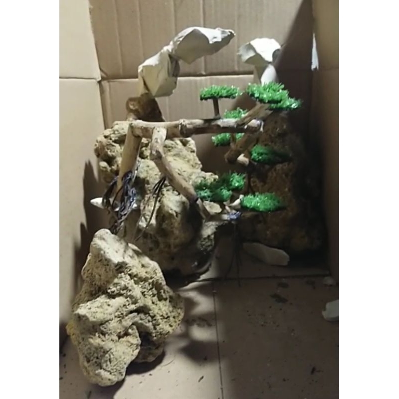 hardscape aquascape jadi tema iwagumi