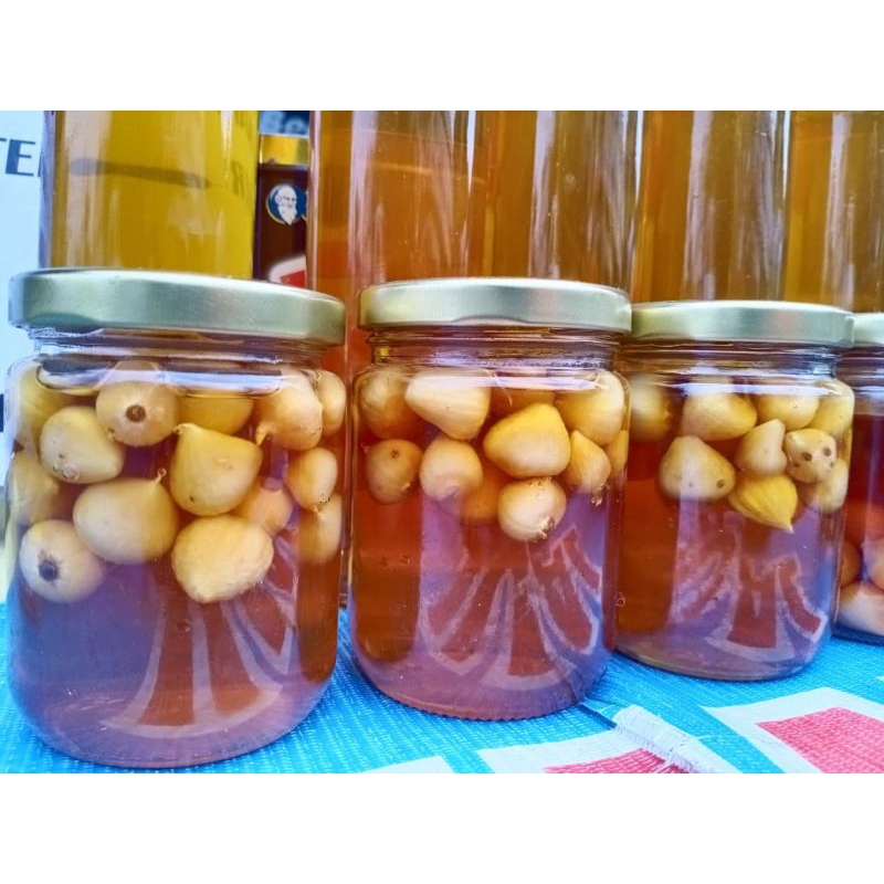 

COD Madu Bawang tunggal untuk stamina kolesterol dan asam urat