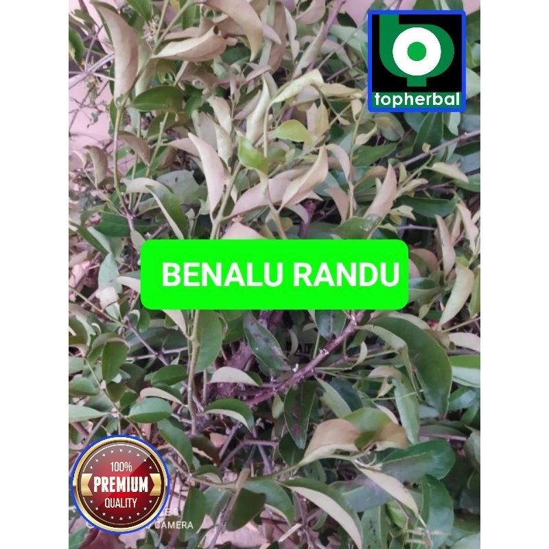 

Benalu Randu Fresh/Segar Baru Petik 1000 Gram