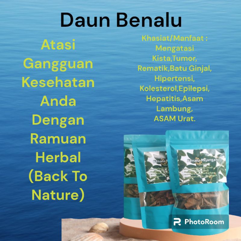 

Daun Benalu Kering Rajangan,Teh Seduh Benalu,Benalu Herbal ,Beli 2 gratis 1 pcs.