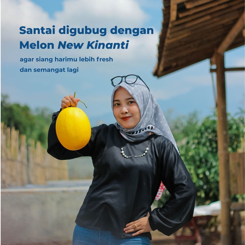 BENIH MELON NEW KINANTI TUNAS AGRO 15 GRAM - BIBIT MELON GOLDEN SUPER MANIS