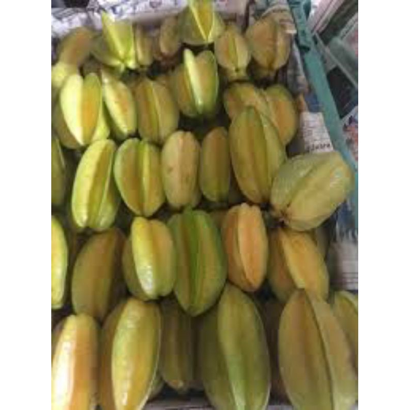 

BELIMBING MADU/BELIMBING DEWI 1Kg