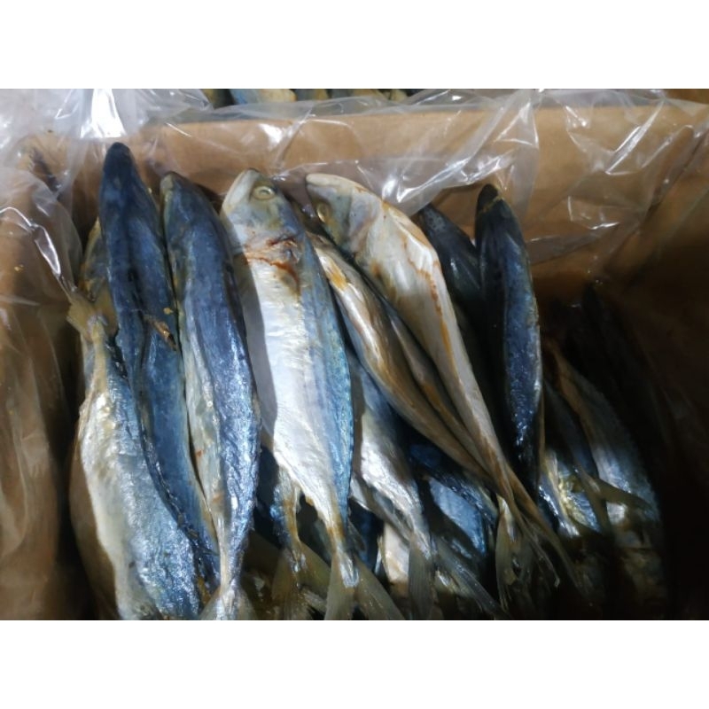 

Ikan Asin Peda Putih 500gr