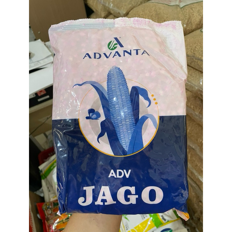 benih jagung adv jago bibit jagung jago kemasan 1kg original advanta exp 2026
