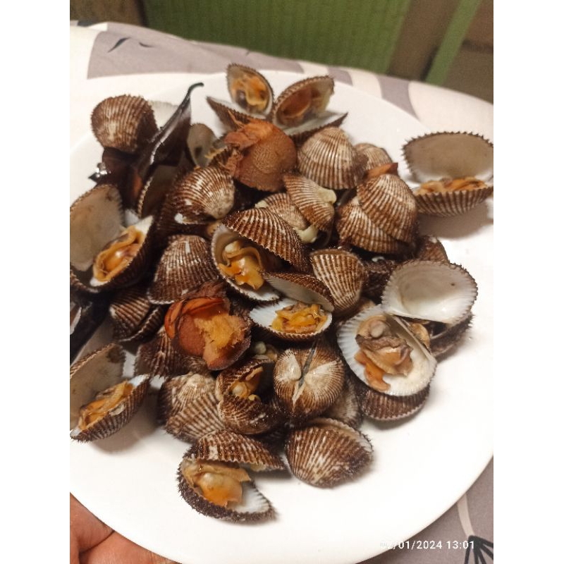 

kerang mbok asri