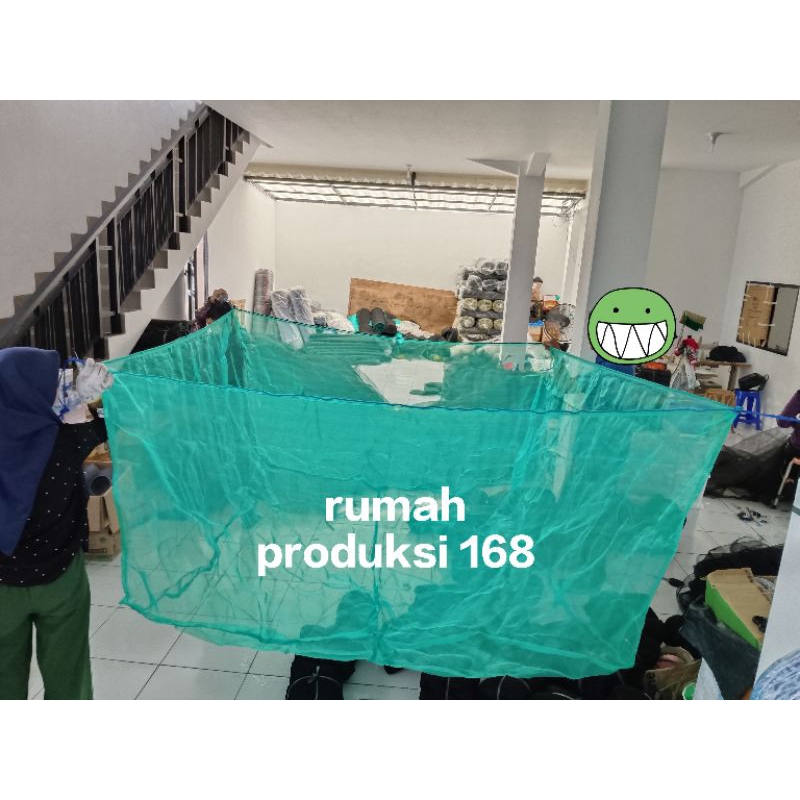 Keramba hapa waring hijau 2m x 4m x 1m burayak bibit benih