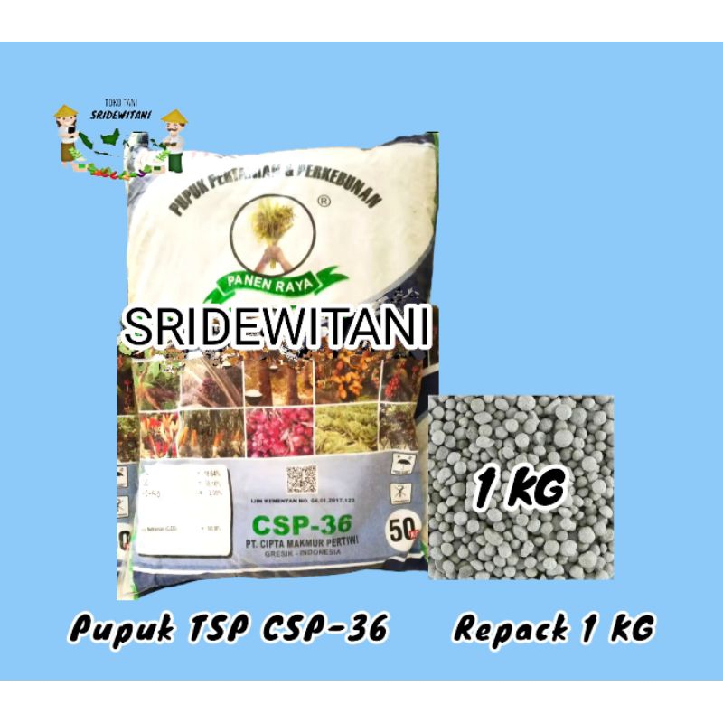 Pupuk TSP CSP 36 SP Repack 1 KG Pupuk Penyubur Semua Tanaman