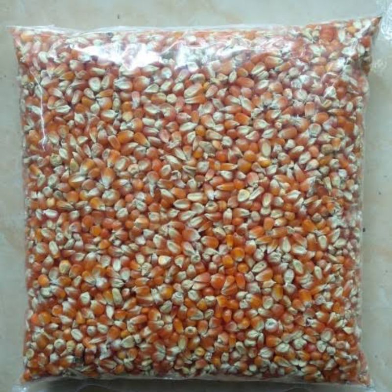 JAGUNG KRISTAL KECIL REPACK UNTUK PAKAN MERPATI, AYAM DLL