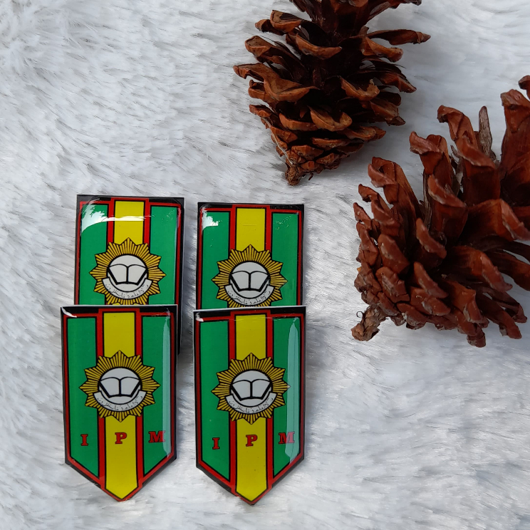 PIN IPM / PIN RESIN IPM / PIN CUSTOM / PIN RESIN CUSTOM