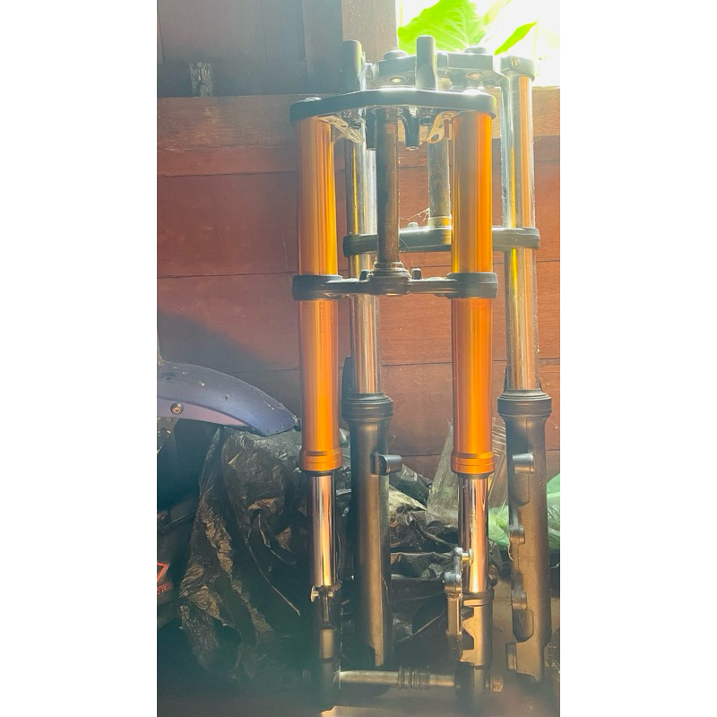 USD R15v3 second PNP vixion dll