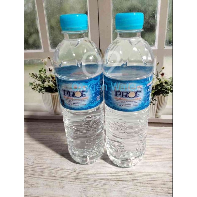 

Prof botol kemasan 600ml isi 24pcs /dus