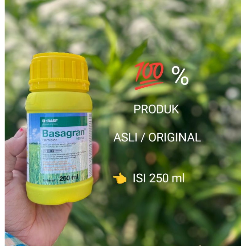 HERBISIDA BASAGRAN 460 SL KEMASAN 250 ML