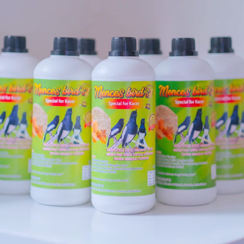 MENCHES BIRDS_PAKAN PENGGACOR BURUNG KACER, MEMBUAT BURUNG BONGKAR ISIAN,MENAMBAH STAMINA BURUNG KAC