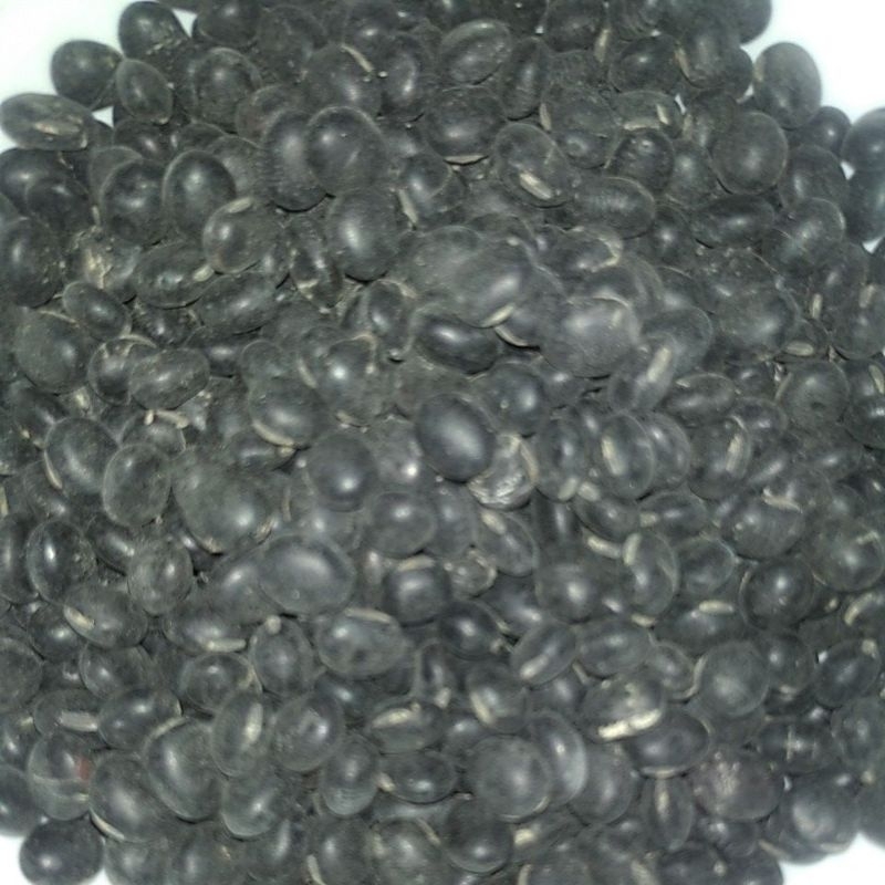 

KACANG DELE / KEDELE / KEDELAI HITAM