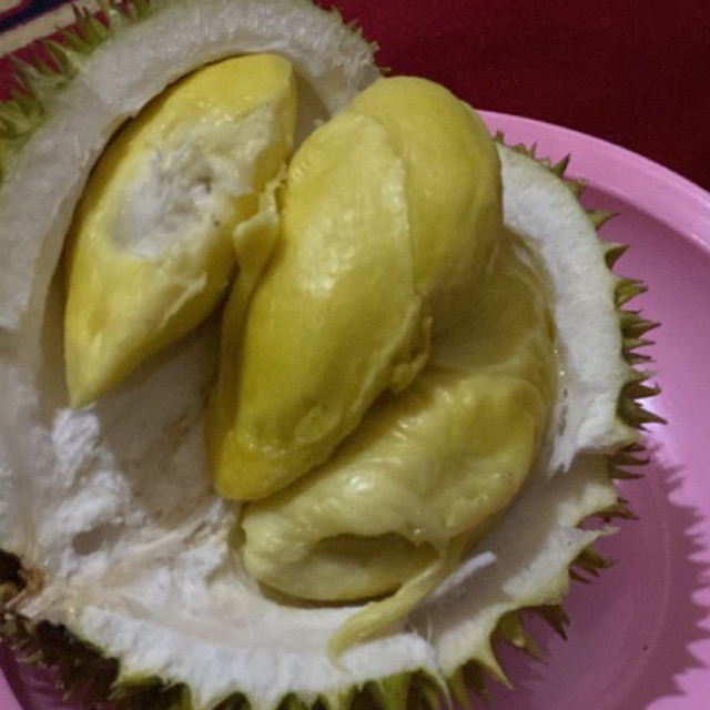 

Duren Jepara