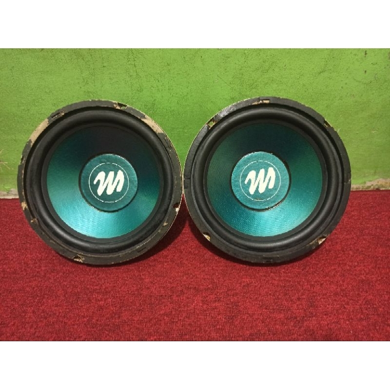 speaker subwoofer acoustic