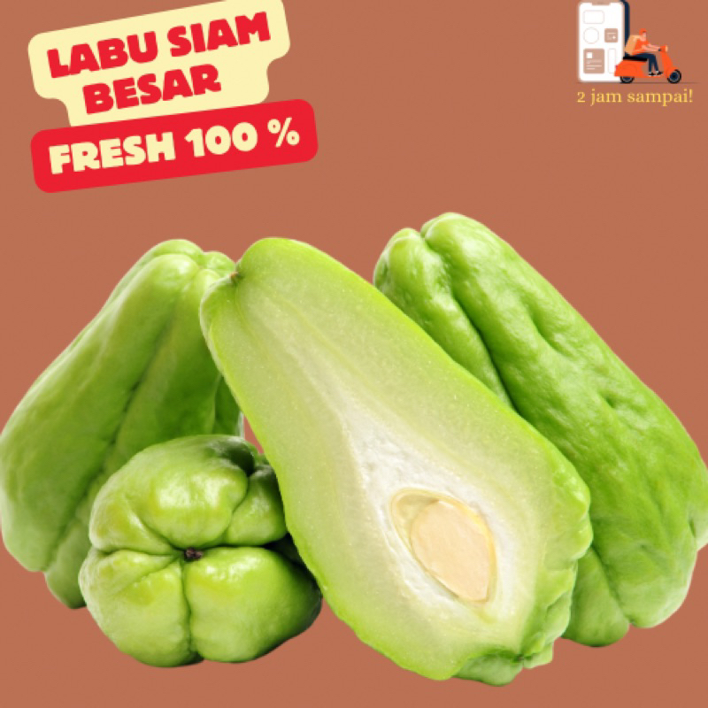 

Labu Siam Besar / Kecil Jipang Waluh Sayur Fresh