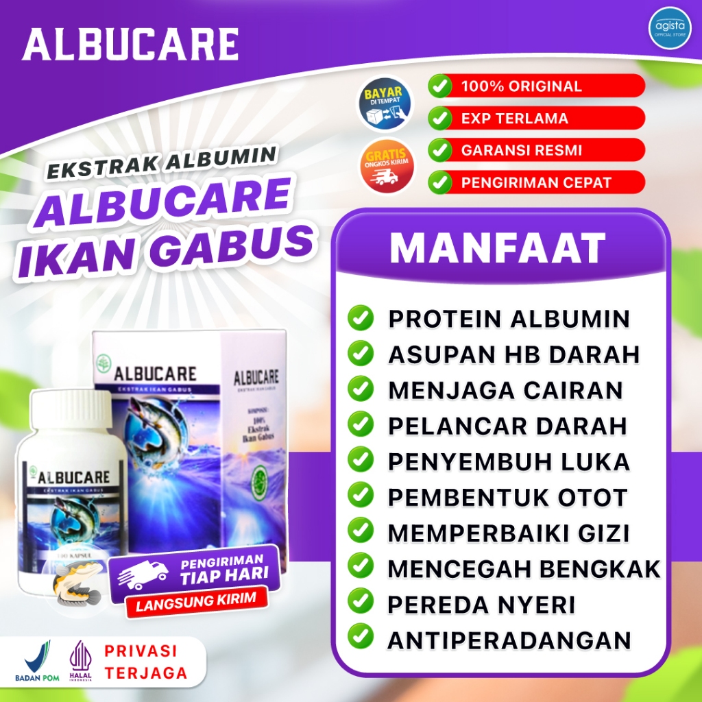 ALBUCARE Kapsul Ikan Gabus Untuk Ginjal Pasien HD Luka Operasie Caesar Kekurangan Albumin