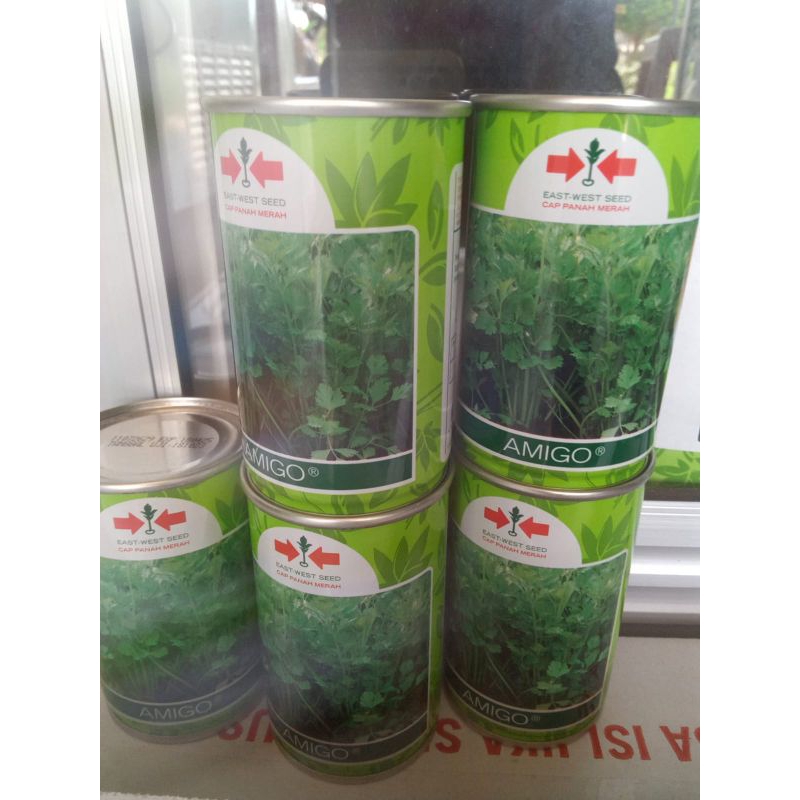 Bibit Seledri Amigo 50 gram - Cap Panah Merah