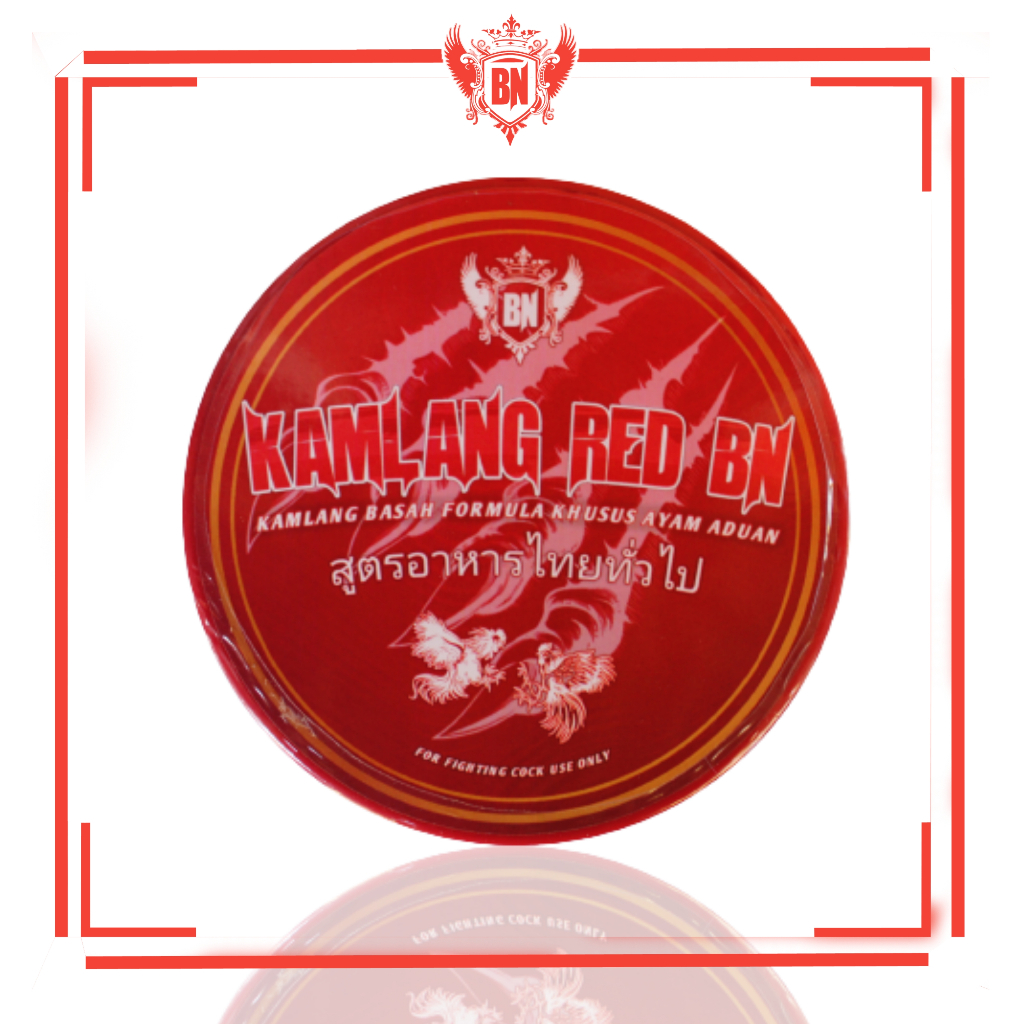 Kamlang basah ayam aduan RED BN ayam siap tarung adu bagus untuk pemulihan obat luka dalam sakit kun
