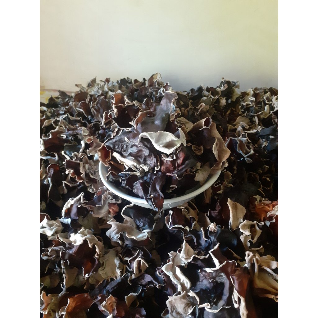 

Jamur kuping kering 500gram