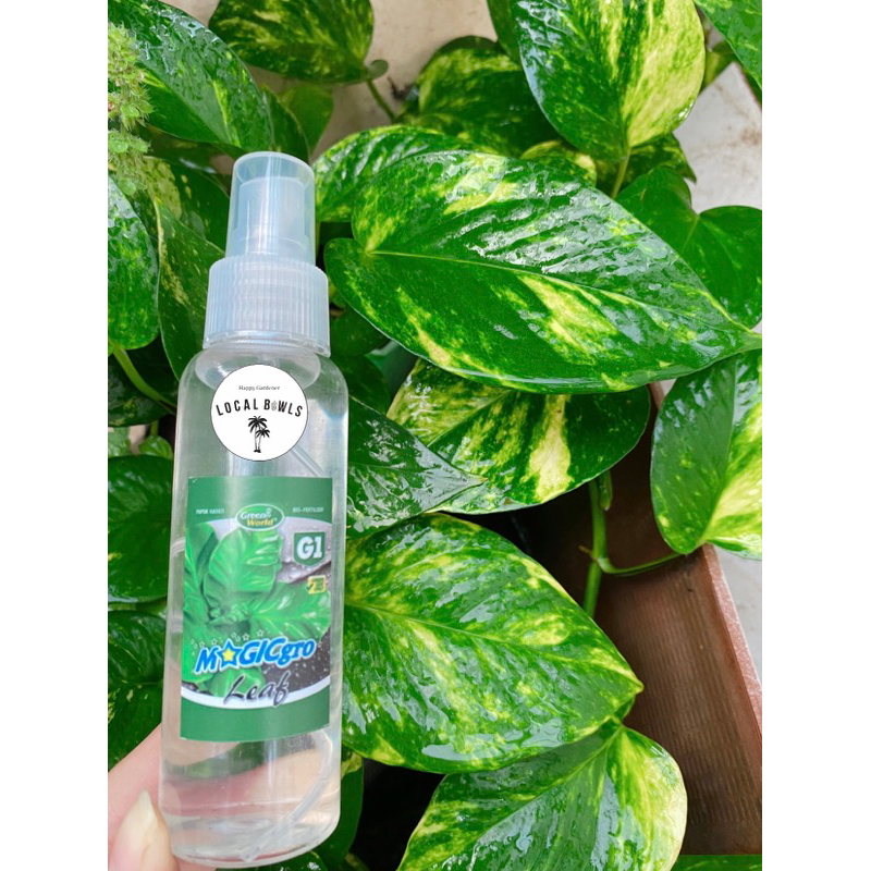 pupuk kilap daun G1 magicgro (spray repack)