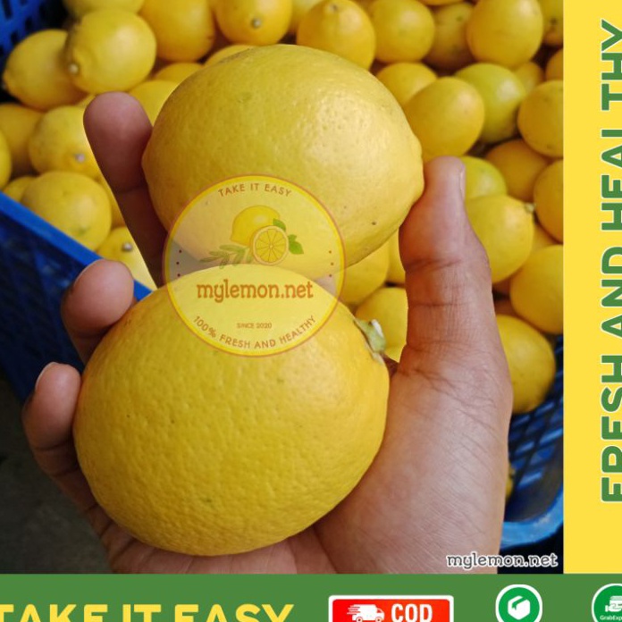 

XZLJ9452 FSASH SALE Lemon California Fresh 1 Kg 1 gram Isi 813 Cocok Untuk Infused Water MYLEMONNET