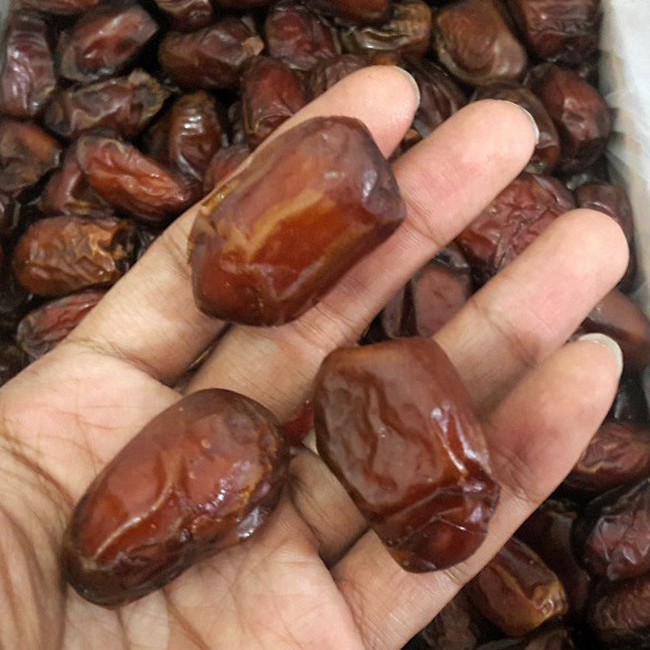 

FXRV9382 COD kurma madu mesir ukuran 5gr