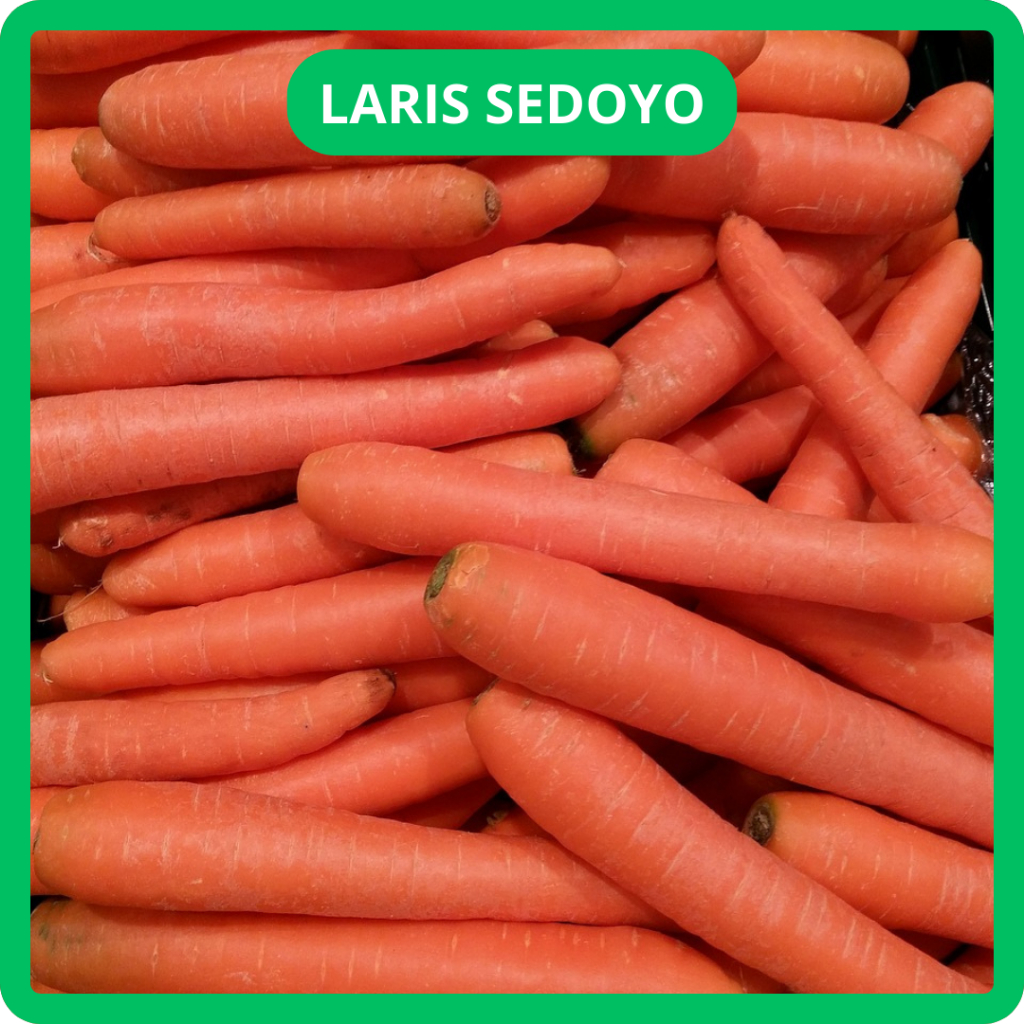 

TERLARIS WORTEL BRASTAGI / BERASTAGI BUAH IMPOR SAYUR SAYURAN MAKANAN SEGAR FRESH