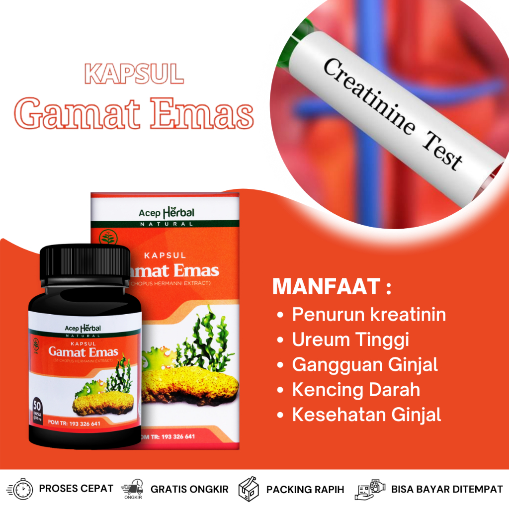 Obat Penurun Kreatinin, Obat Ureum Tinggi, Obat Menurunkan Kadar Kreatinin Darah, Obat Menghilangkan