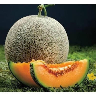 5 Benih Buah Melon Orange Sakata