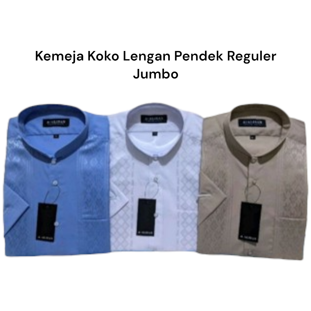 Baju Pria KOKO ALISAN BORDIR Lengan Pendek Jumbo