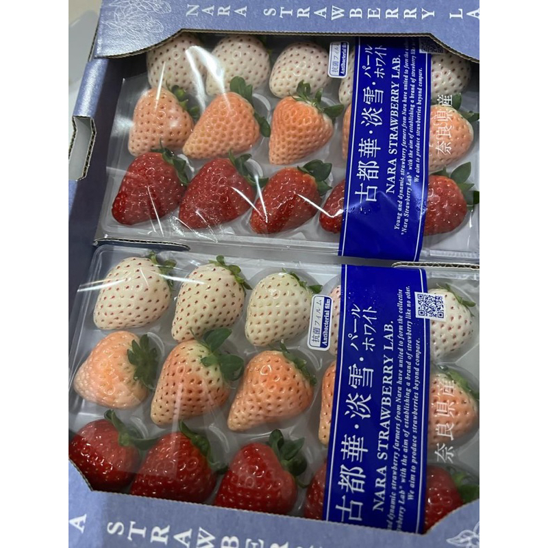 

STRAWBERRY 3 WARNA