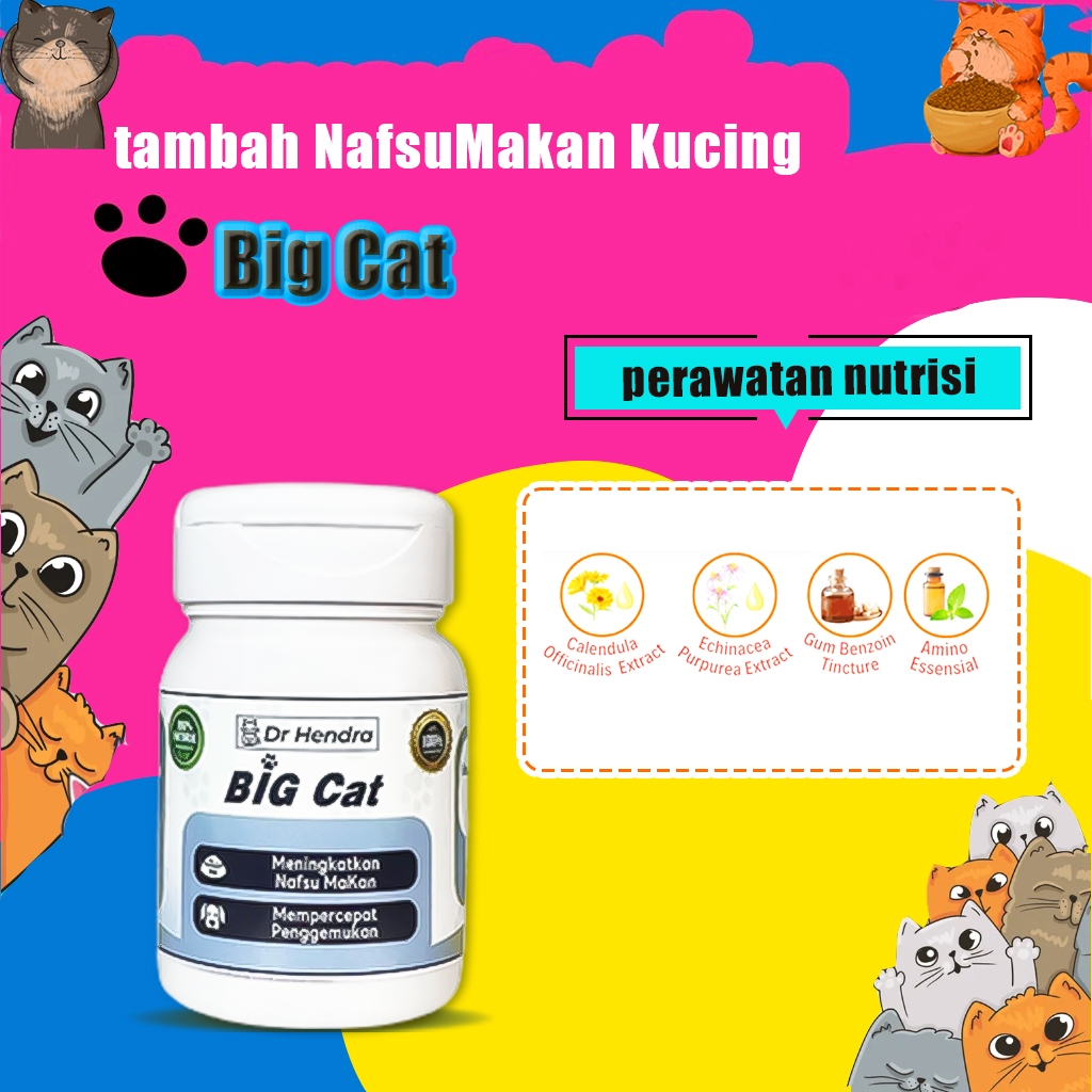 Vitamin Kucing BIG CAT Vitamin Kucing Nafsu Makan Obat Nafsu Makan Kucing Vitamin Nafsu Makan dan Pe