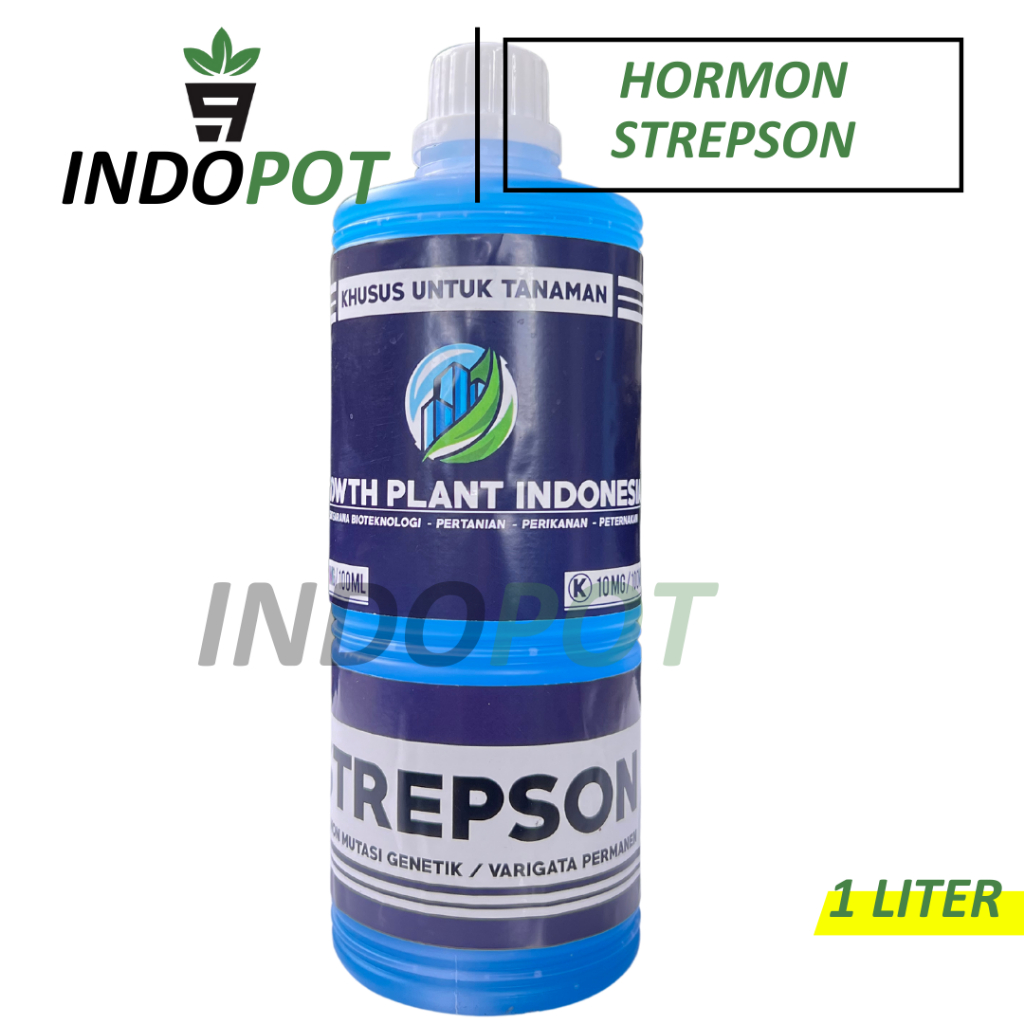 Hormon Strepson 1 Liter Pupuk Mutasi Genentik Tanaman (Varigata)