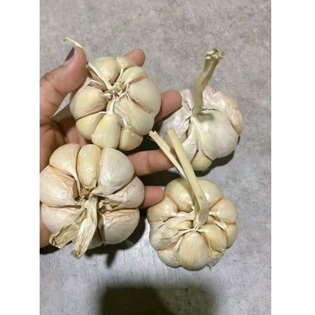 

Bawang putih murah berkualitas harga 200 gr dan 250 gr
