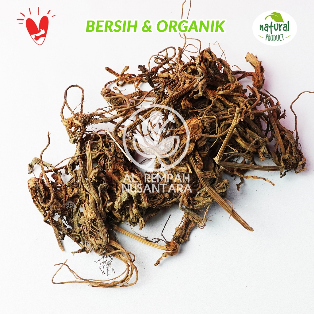 

Akar Purwaceng Kering 100gr Asli Dieng - Kualitas Terbaik