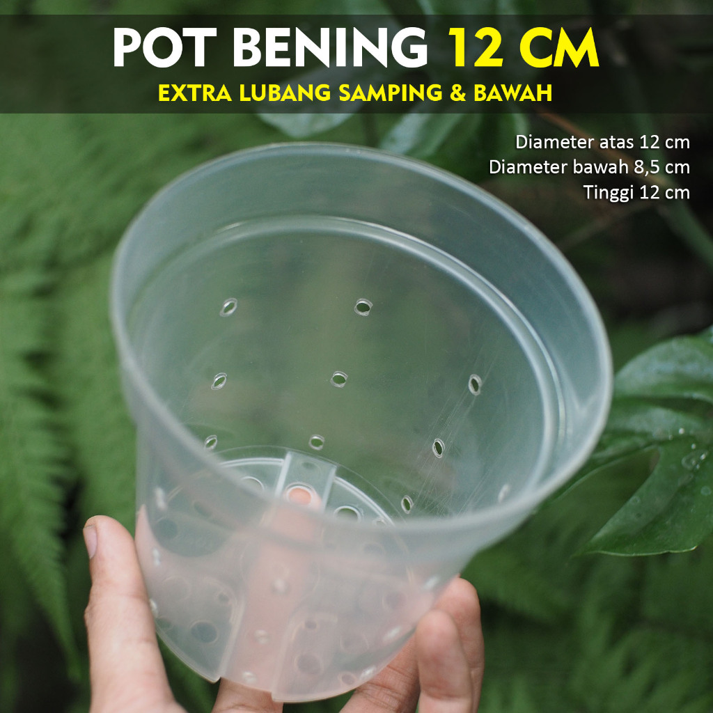 Pot Bening Plastik 12cm + Lubang Samping