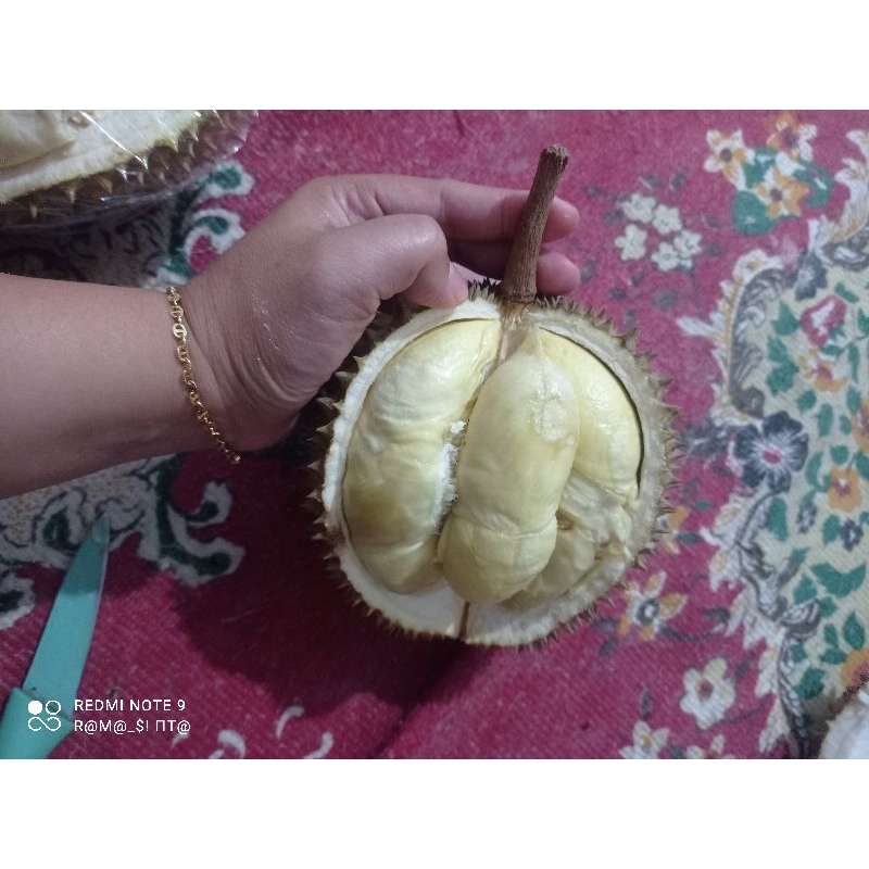 

durian lokal