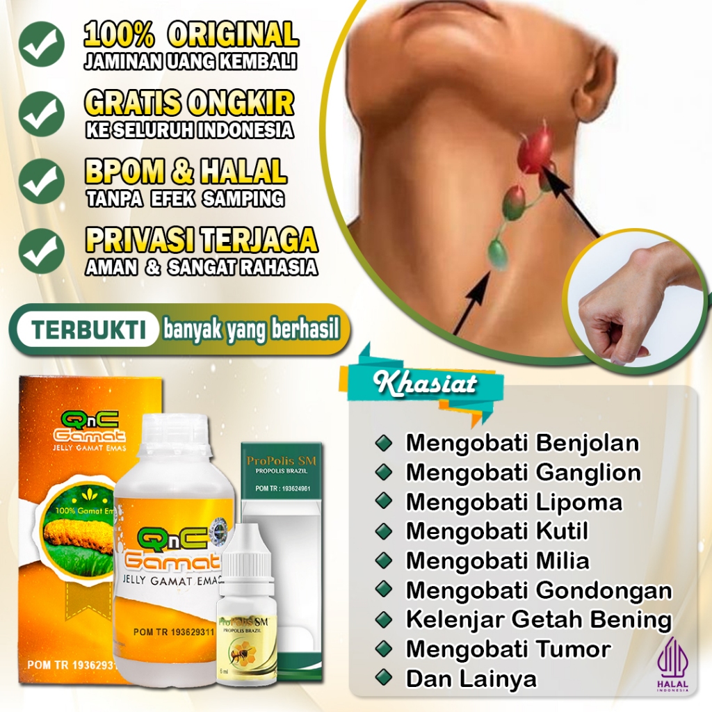 QNC Jelly Gamat Original Obat Benjolan Di Leher Benjolan Tangan Ketiak Payudara Benjolan Lipoma Gang