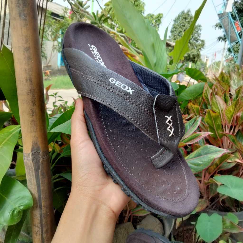 Sandal Geox Jepit Warna Coklat  Sendal Geox kulit asli david sport